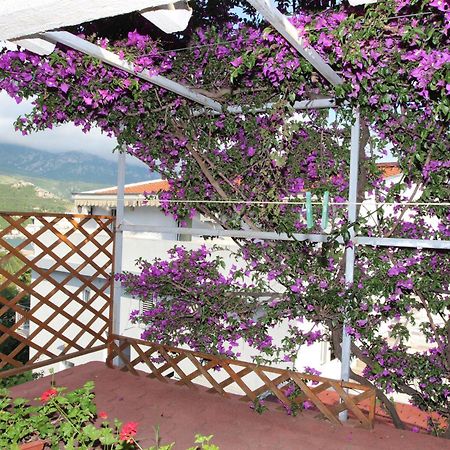 Apartment Sandra Budva Rum bild